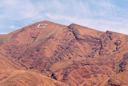 [White C in brown hillside.]